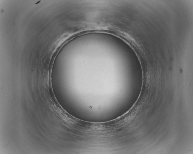 X0000067951220200604201423