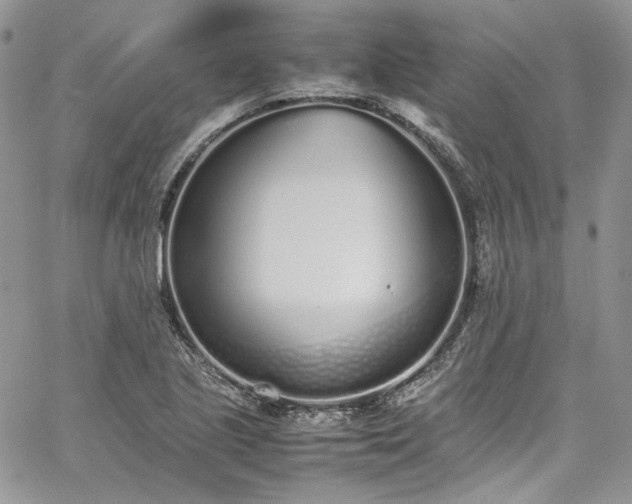 X0000067951221200604201423