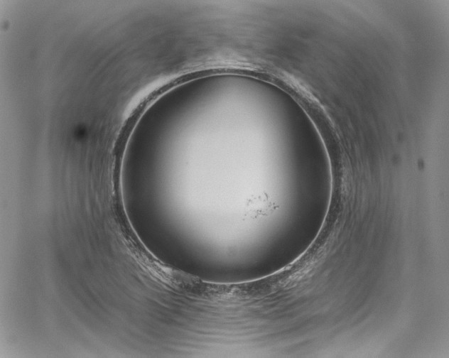 X0000067951222200604201423