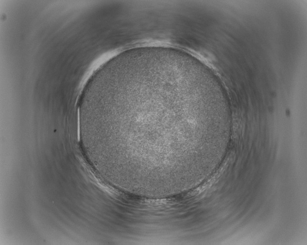 X0000067951223200604201423