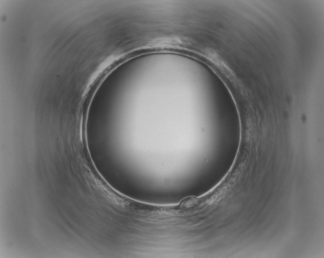 X0000067951224200604201423