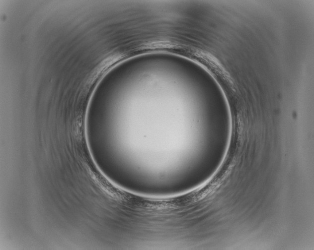 X0000067951225200604201423