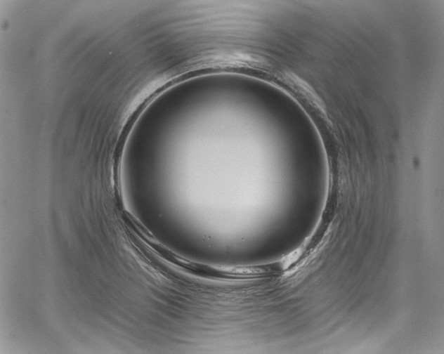 X0000067951226200604201423