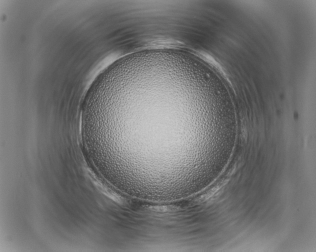 X0000067951227200604201423