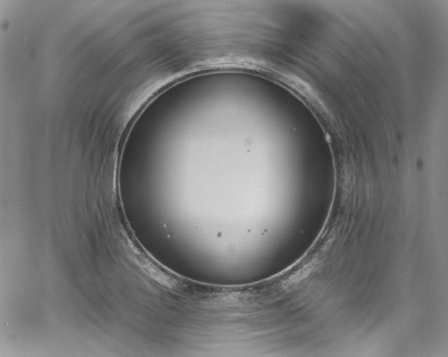 X0000067951228200604201423