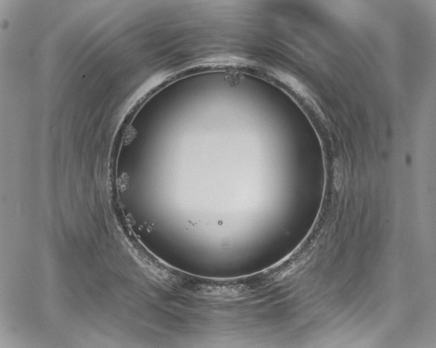 X0000067951229200604201423