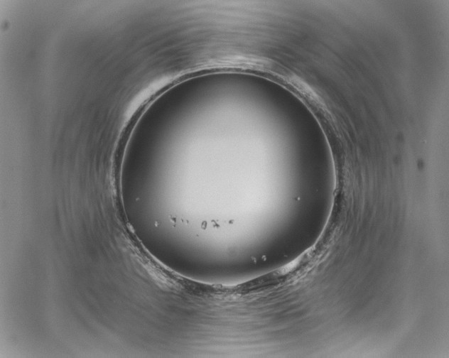 X0000067951230200604201423