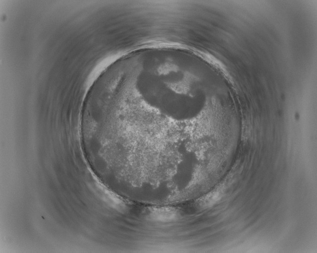 X0000067951231200604201423