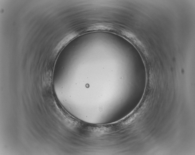 X0000067951233200604201423