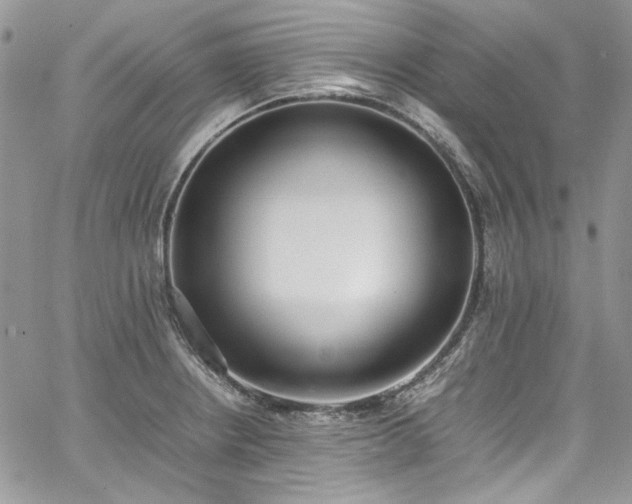 X0000067951234200604201423