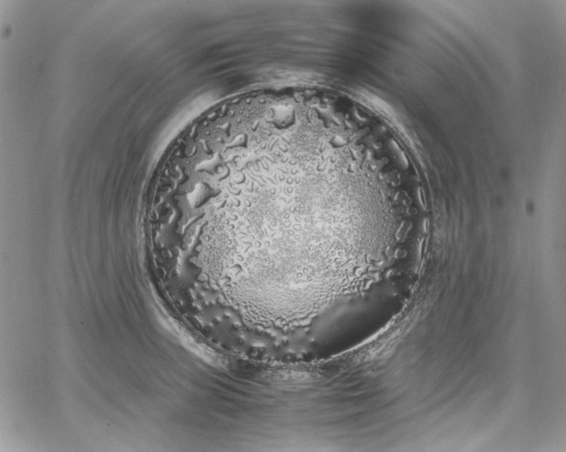 X0000067951235200604201423