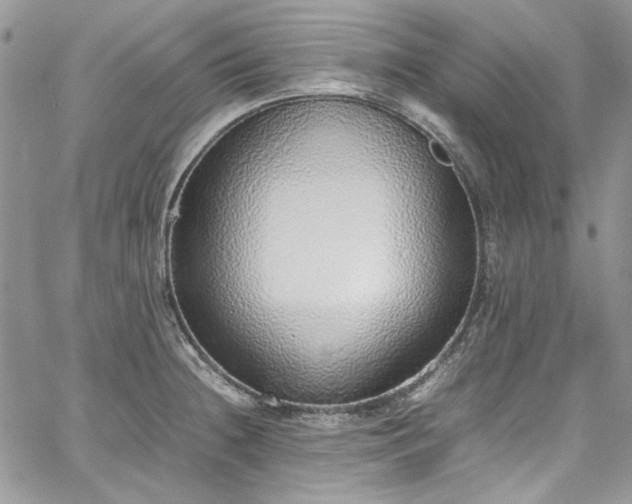 X0000067951236200604201423