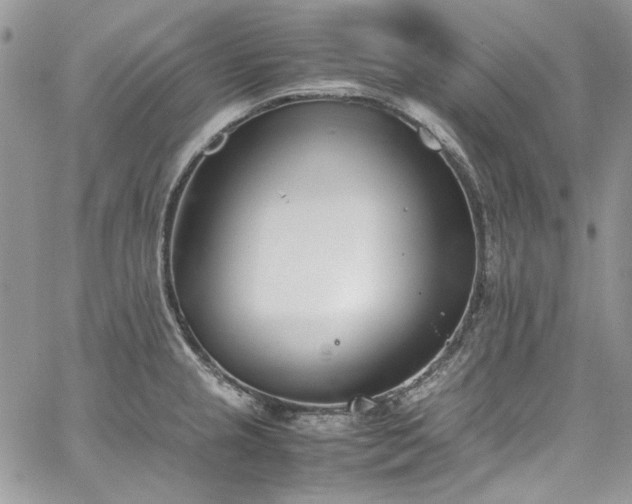 X0000067951237200604201423