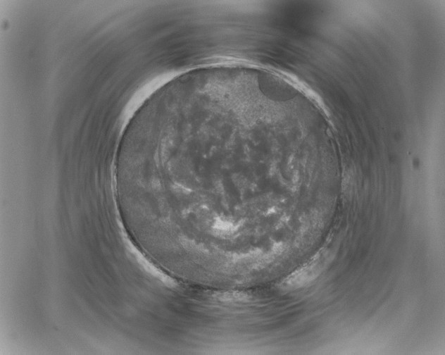 X0000067951239200604201423