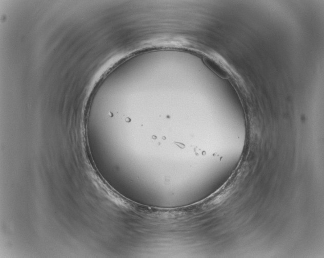 X0000067951240200604201423