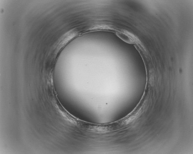 X0000067951241200604201423