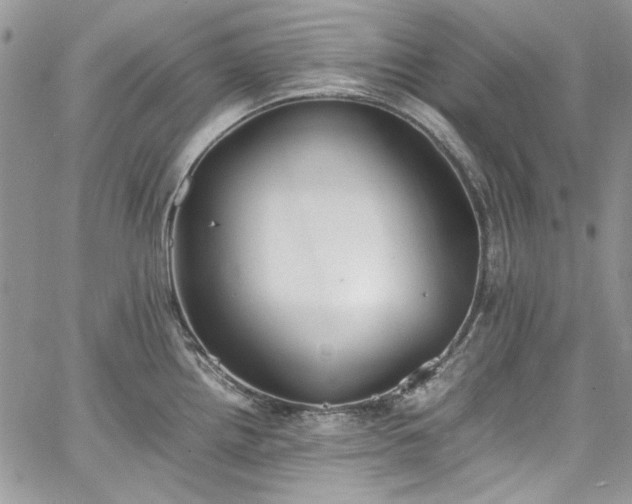 X0000067951242200604201423