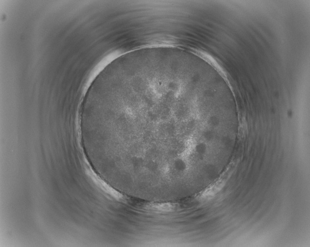 X0000067951243200604201423