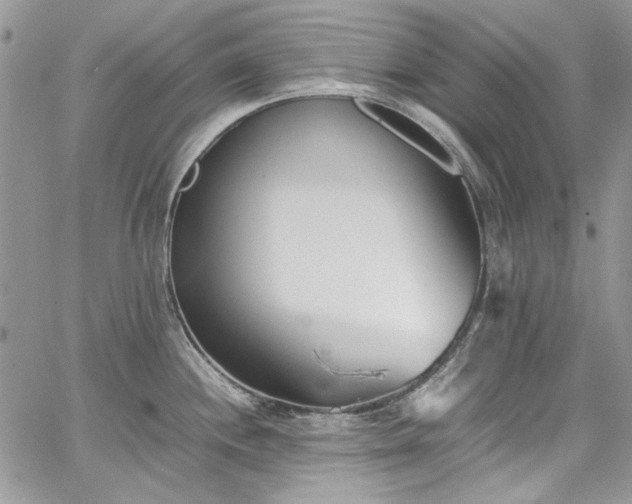 X0000067951244200604201423