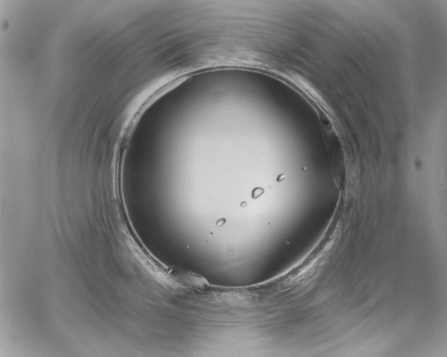 X0000067951246200604201423