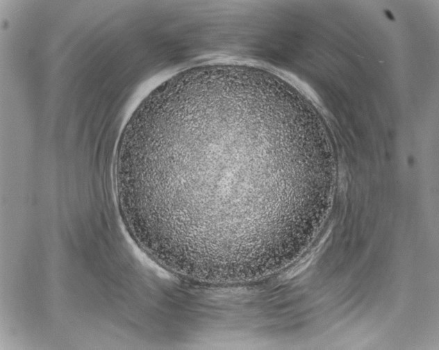 X0000067951247200604201423