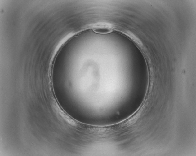 X0000067951248200604201423