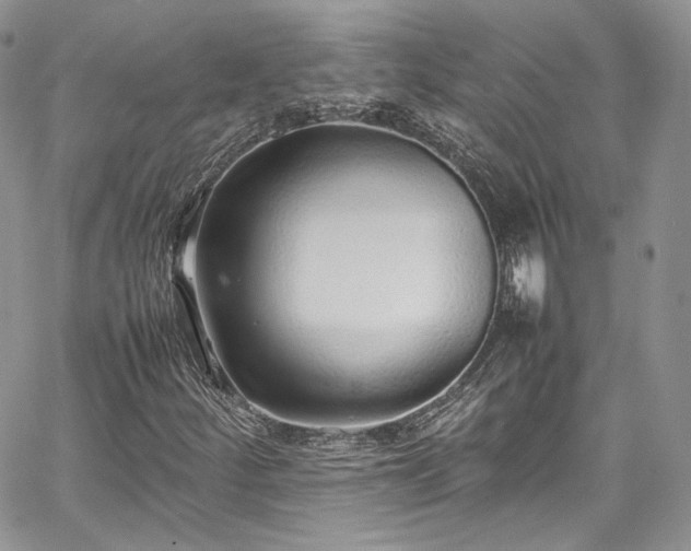 X0000067951252200604201422