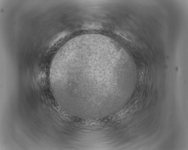 X0000067951254200604201422