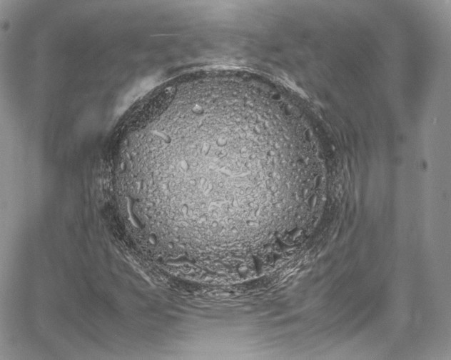 X0000067951255200604201422