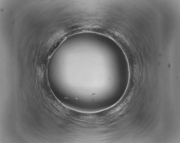 X0000067951257200604201422