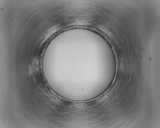 X0000067951258200604201422