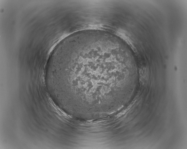 X0000067951260200604201422