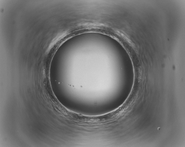 X0000067951261200604201422