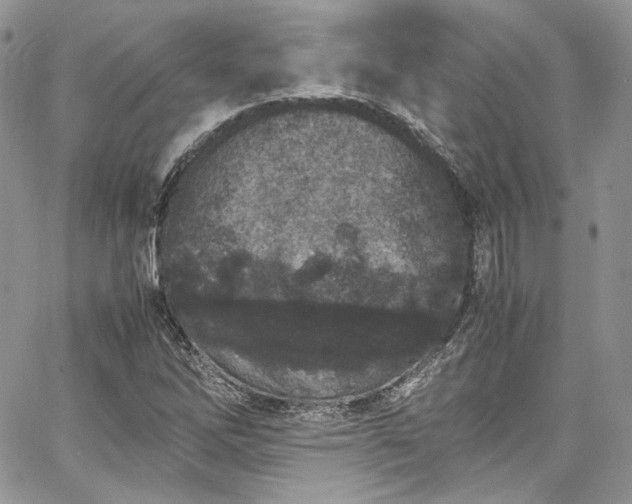 X0000067951262200604201422