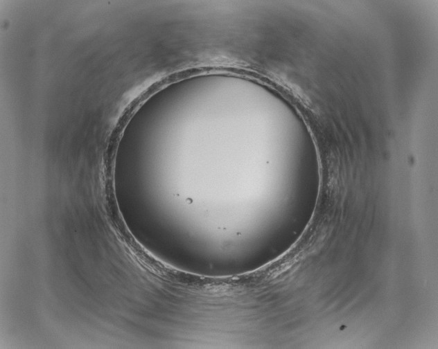 X0000067951264200604201422