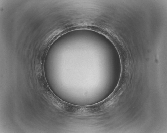 X0000067951265200604201422