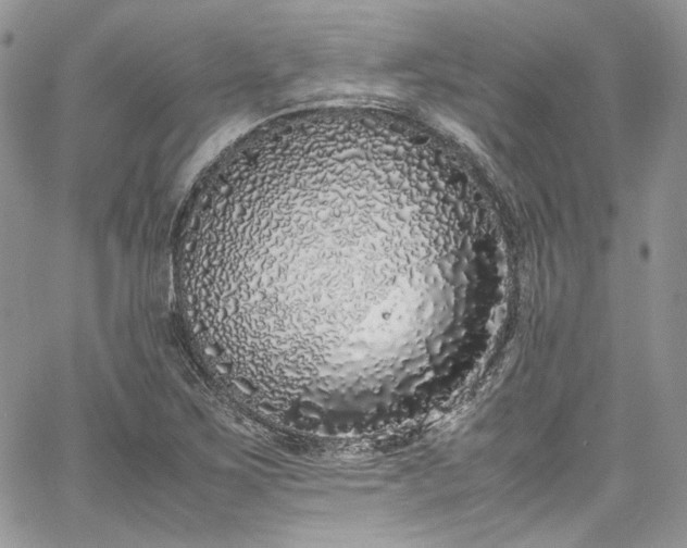 X0000067951267200604201422