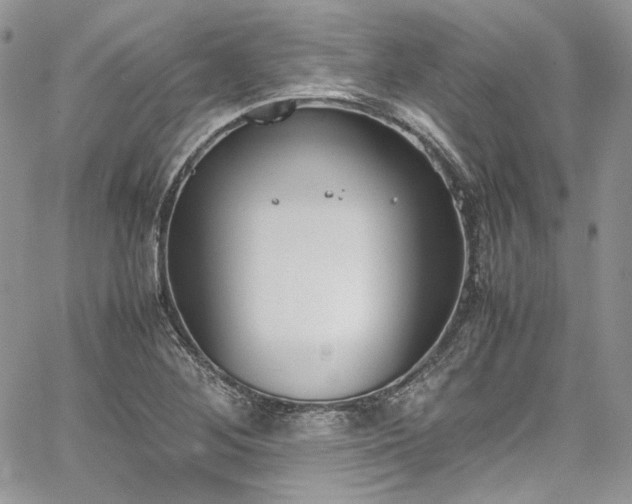 X0000067951268200604201422