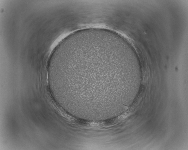 X0000067951271200604201422