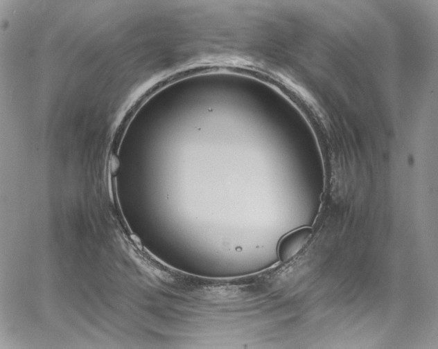 X0000067951272200604201422