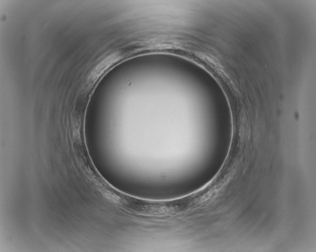 X0000067951273200604201422