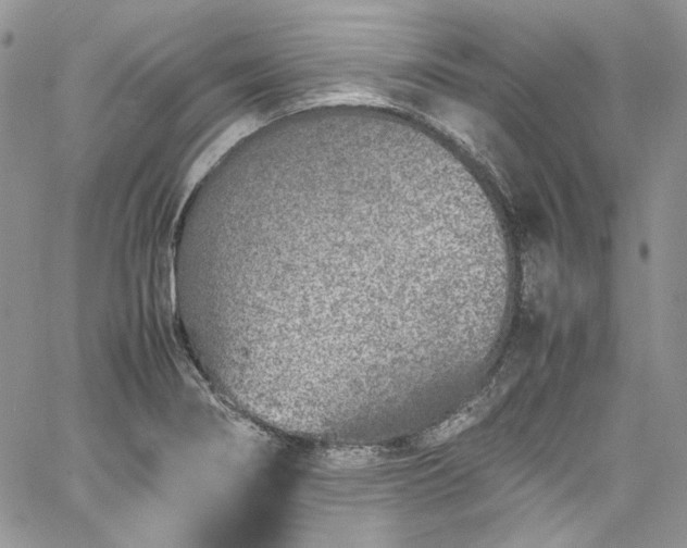 X0000067951274200604201422