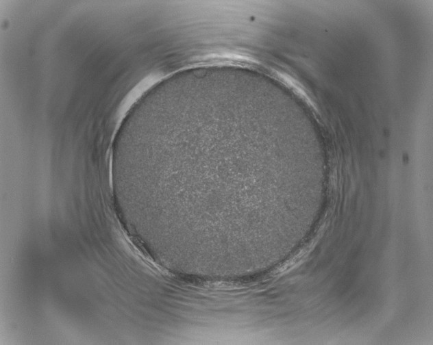 X0000067951275200604201422