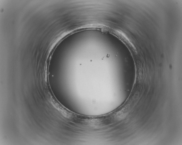 X0000067951276200604201422