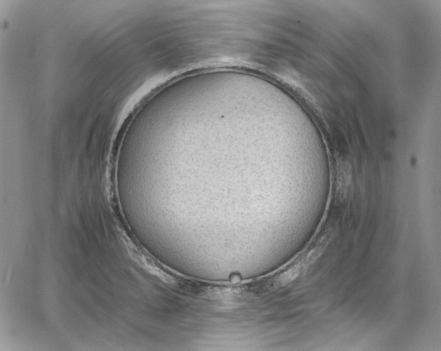 X0000067951278200604201422