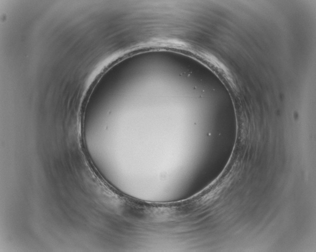 X0000067951280200604201422