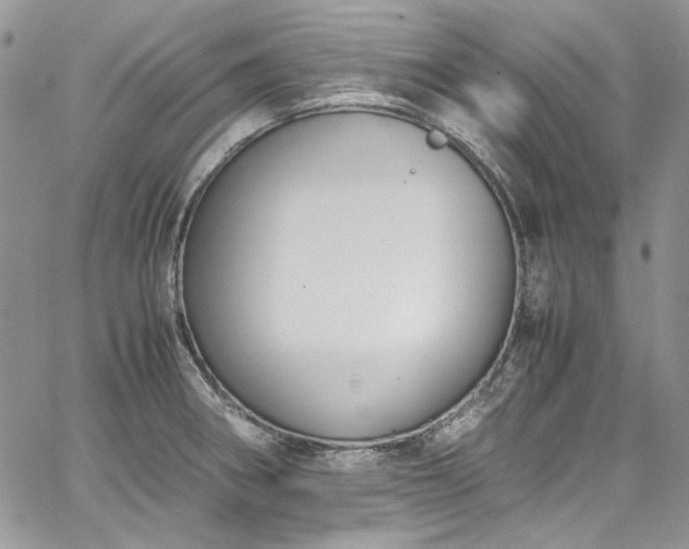 X0000067951282200604201422