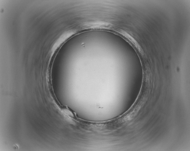 X0000067951285200604201422