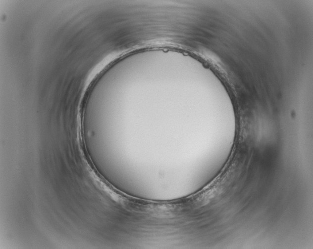 X0000067951286200604201422