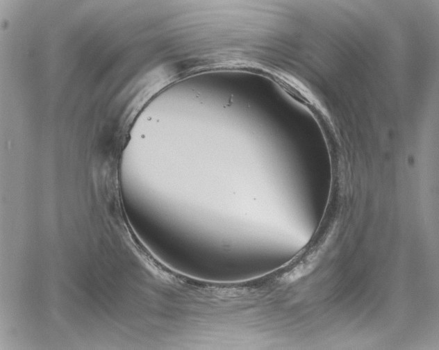 X0000067951289200604201422